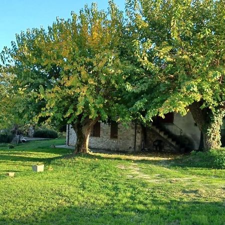 Agriturismo Canonici Амелія Екстер'єр фото