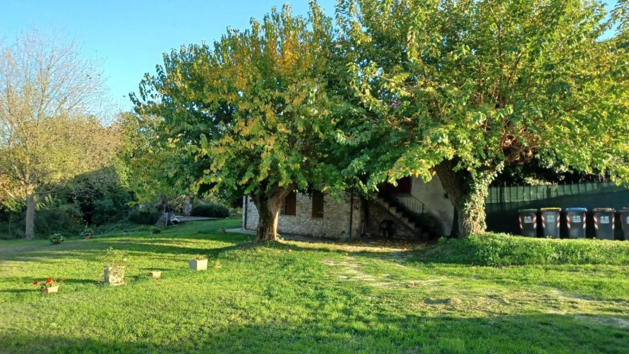Agriturismo Canonici Амелія Екстер'єр фото